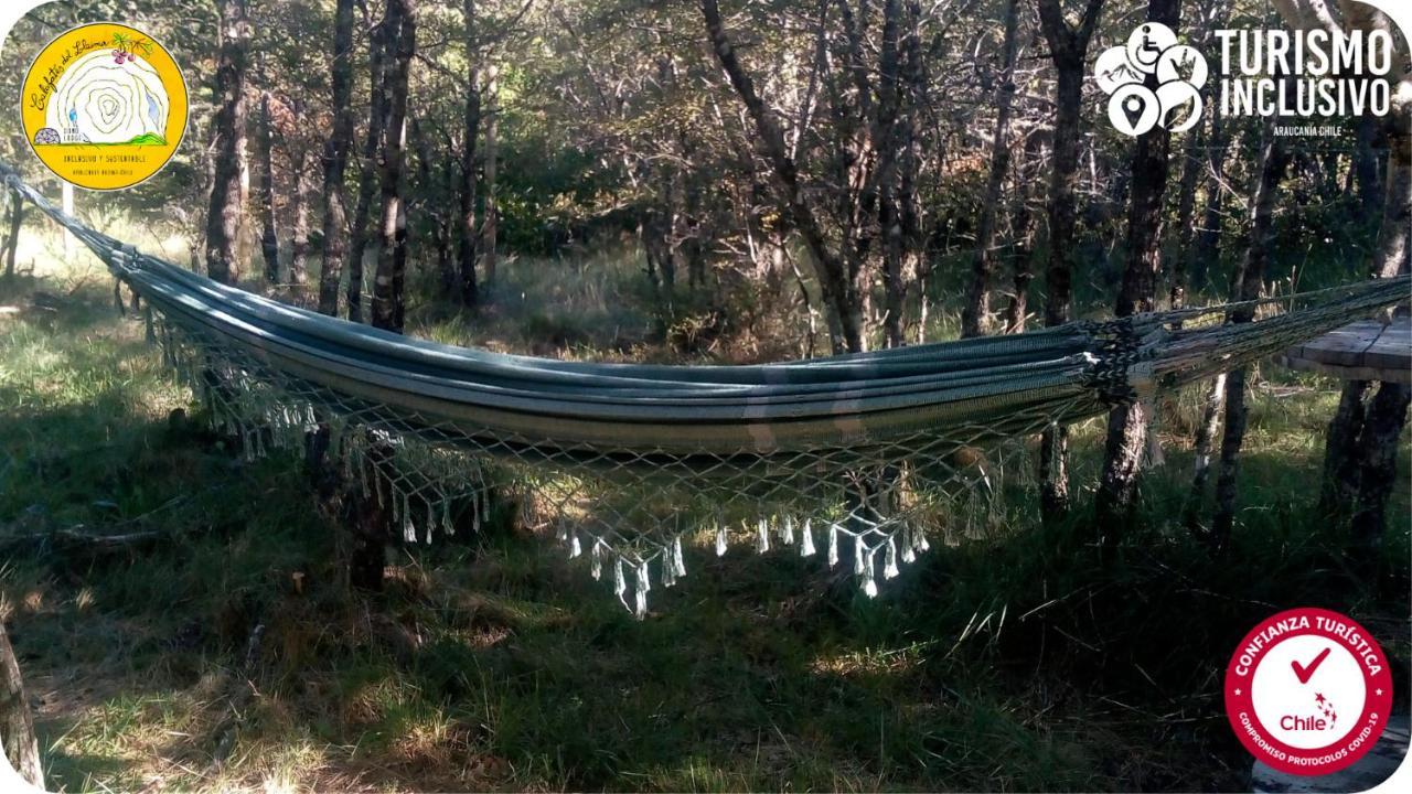 Centro Turistico Calafates Del Llaima Villa Conguillio Eksteriør bilde